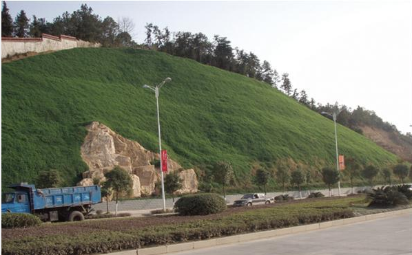 草坪養(yǎng)護(hù)