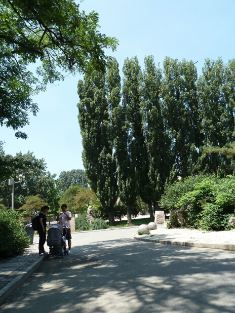 綠化養(yǎng)護(hù)