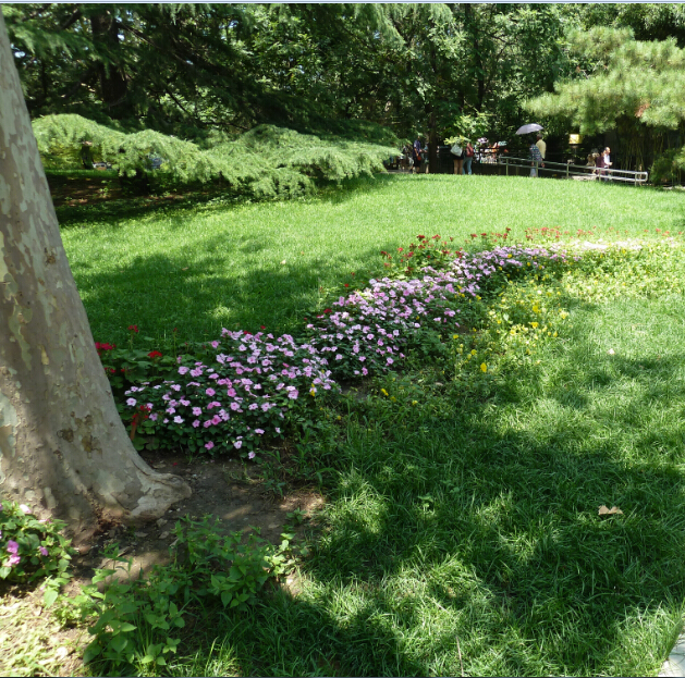 綠化養(yǎng)護(hù)