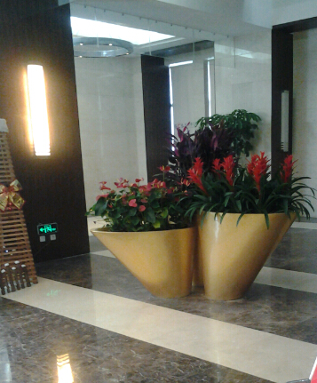 大紅掌組合(新組合)