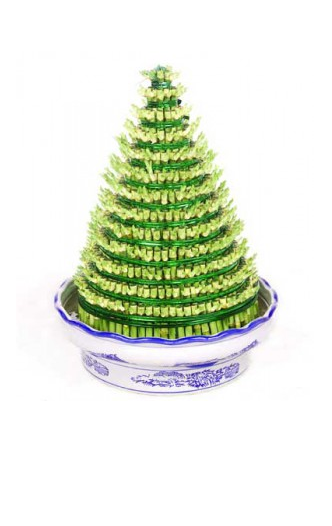 節(jié)節(jié)高(小盆植物)