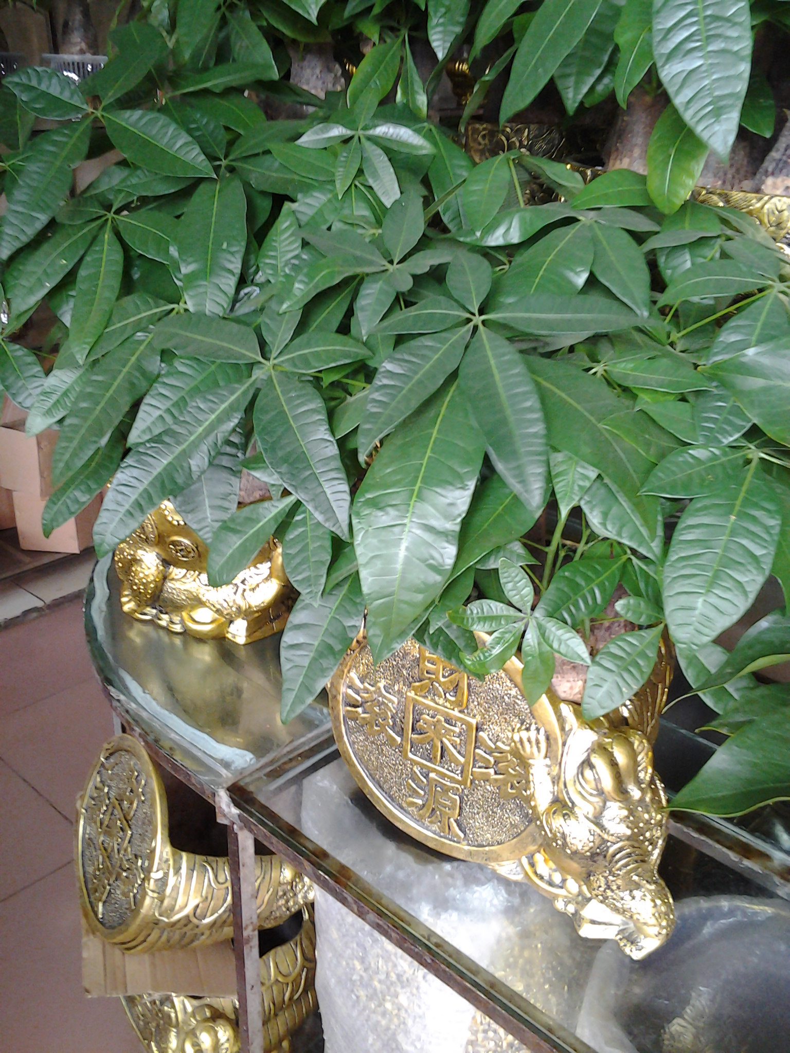 高端產(chǎn)品組合