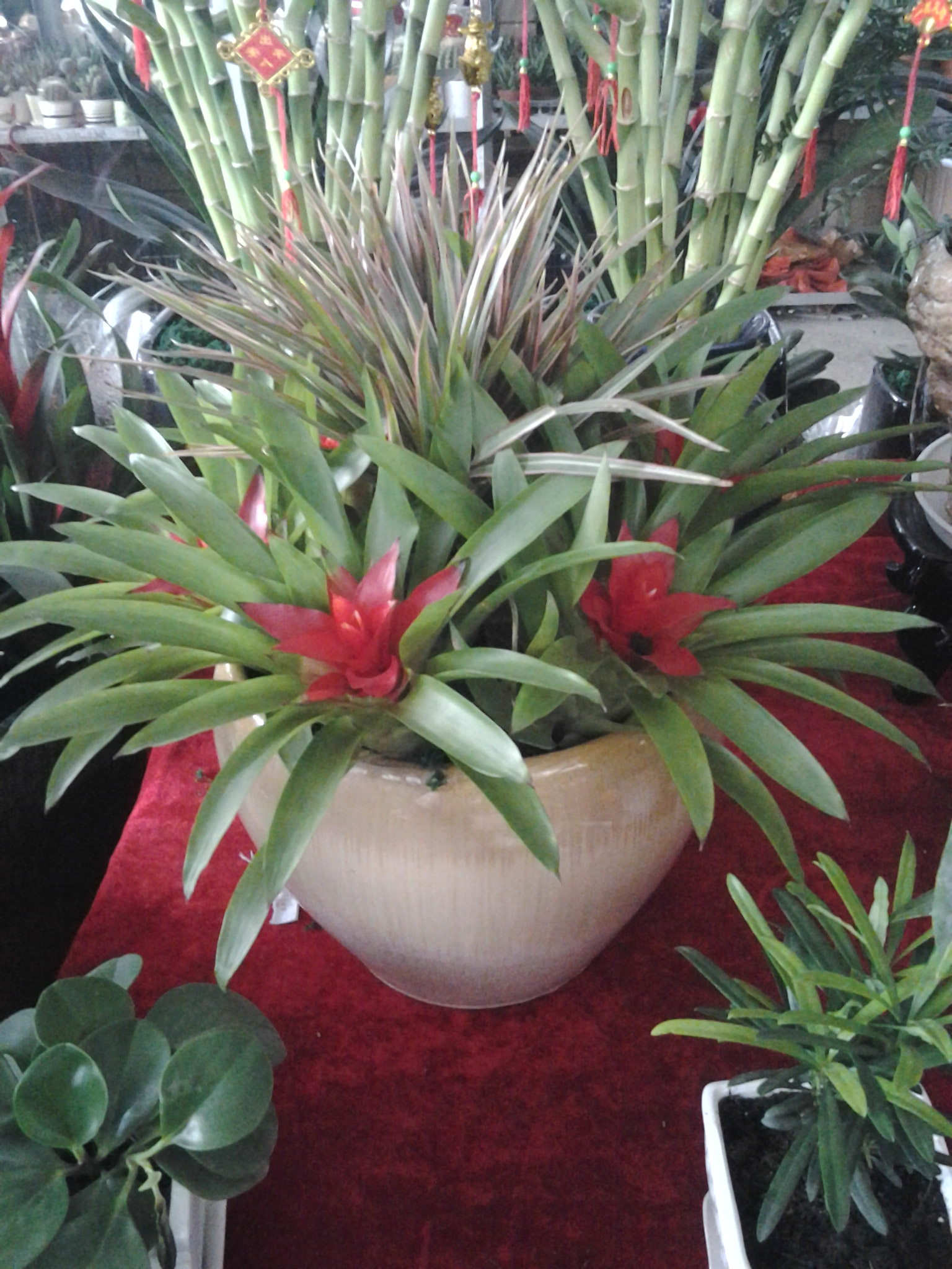 高端產(chǎn)品組合