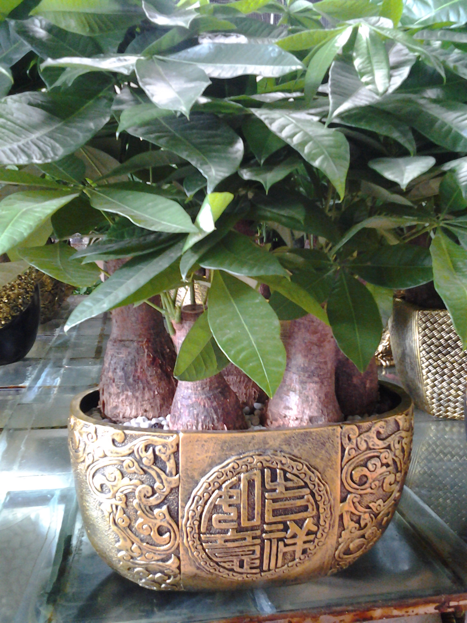 高端產(chǎn)品組合