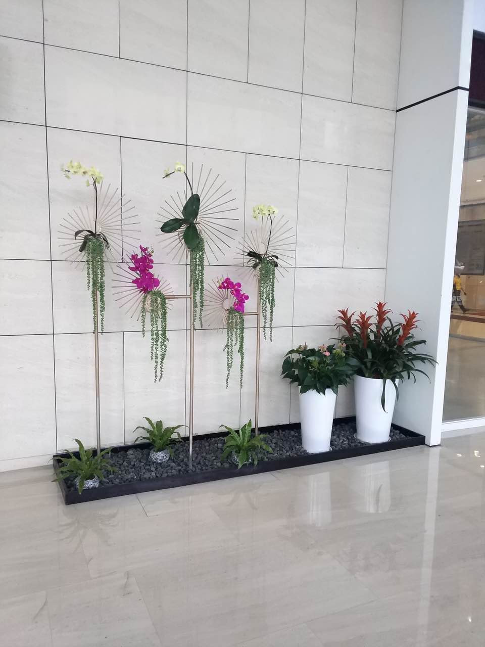 長(zhǎng)沙高端花卉租擺