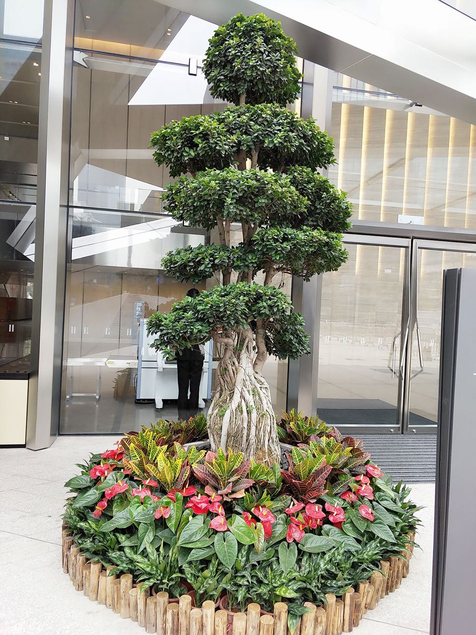 長(zhǎng)沙高端花卉租賃