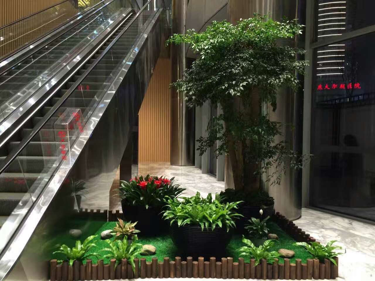 高檔花卉組合租賃