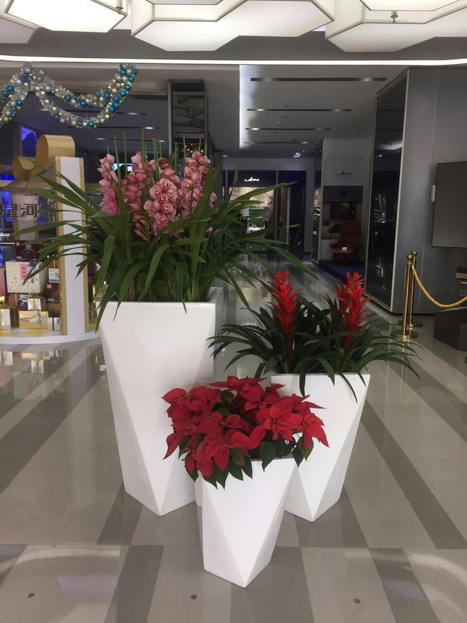 長沙高端盆花租賃