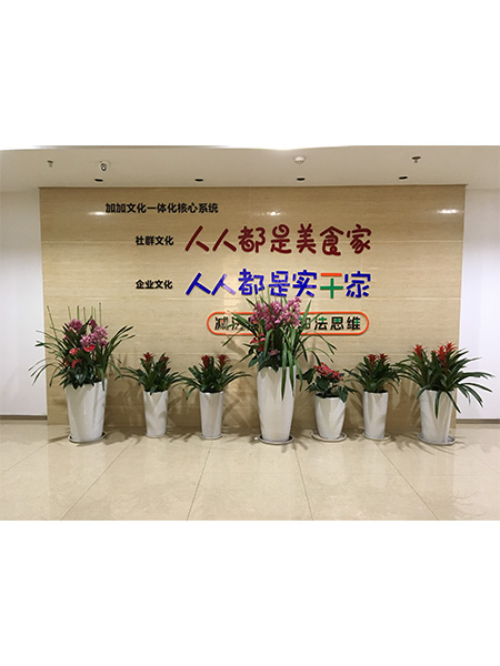 寧鄉(xiāng)加加集團(tuán)組景