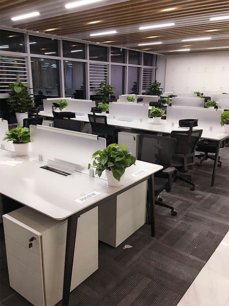 辦公室植物租擺