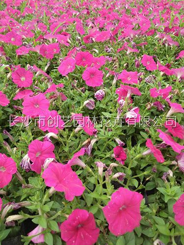 牽?；? />
                        <span>牽?；?/span>
                    </a></li>
                    
                    <li id=