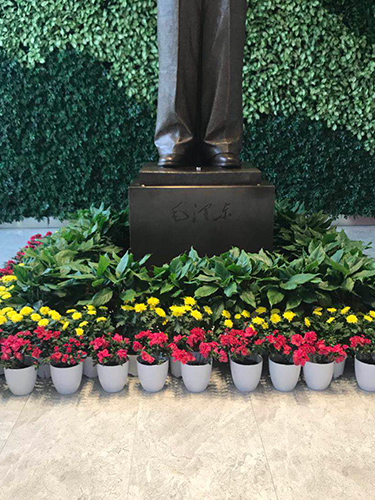 室內(nèi)小花組景