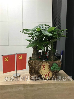 發(fā)財(cái)王組合