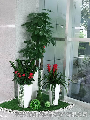 公共區(qū)組景設(shè)計(jì)4