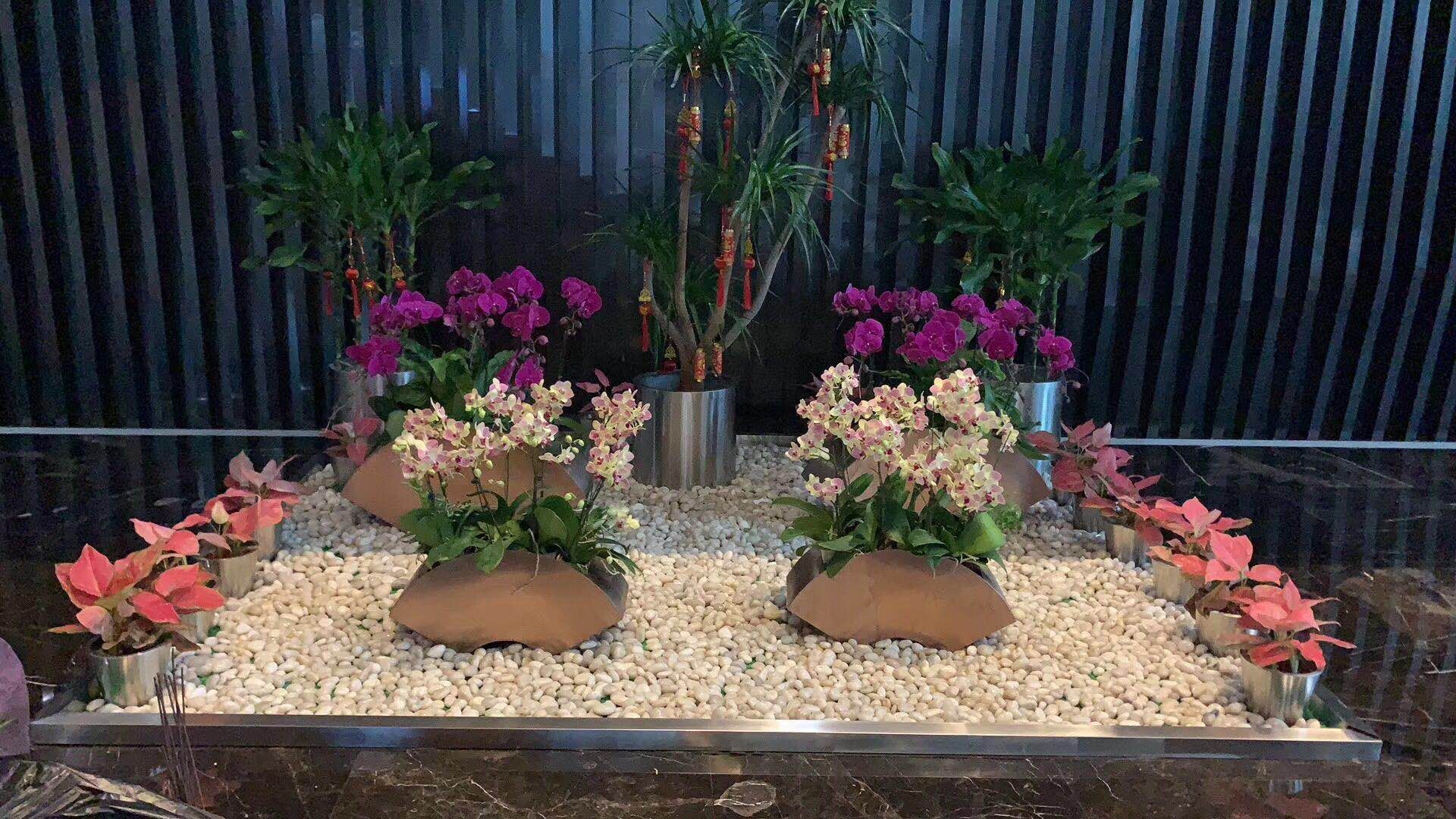 公共區(qū)組景設計6