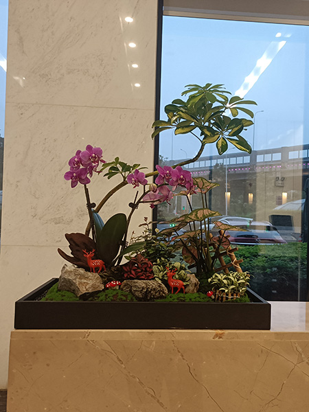 公共區(qū)組景設(shè)計(jì)