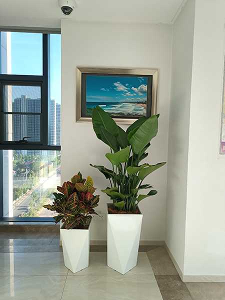 公共區(qū)組景設(shè)計(jì)