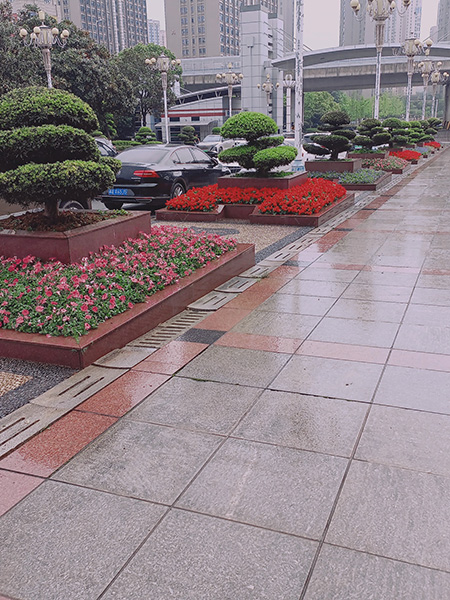 綠化養(yǎng)護(hù)