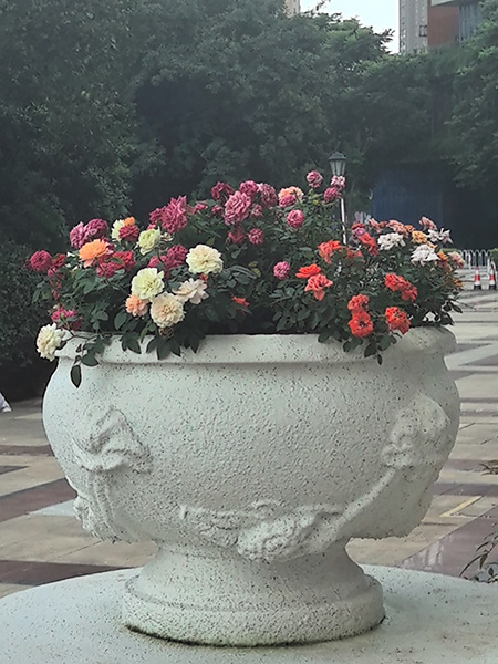 綠化養(yǎng)護(hù)