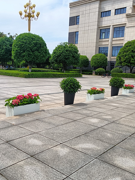 綠化養(yǎng)護(hù)