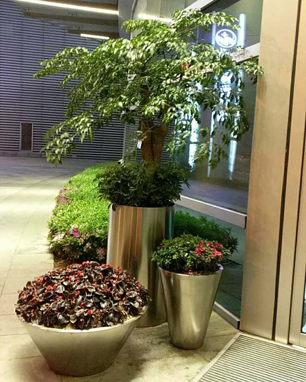 花卉擺放技巧,吸毒植物種類,如何種植花草,長沙高端盆花租賃,長沙花卉租賃,長沙組合組景租賃,長沙室內(nèi)外花卉租賃公司