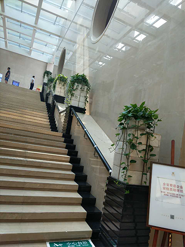 花卉租賃案例,花卉盆景圖片,長沙室內(nèi)外花卉租賃,長沙高端盆花租賃,長沙花卉租賃,長沙組合組景租賃