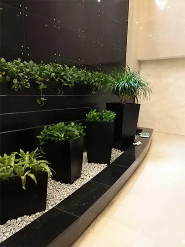 花卉租賃案例,花卉盆景圖片,長沙室內(nèi)外花卉租賃,長沙高端盆花租賃,長沙花卉租賃,長沙組合組景租賃