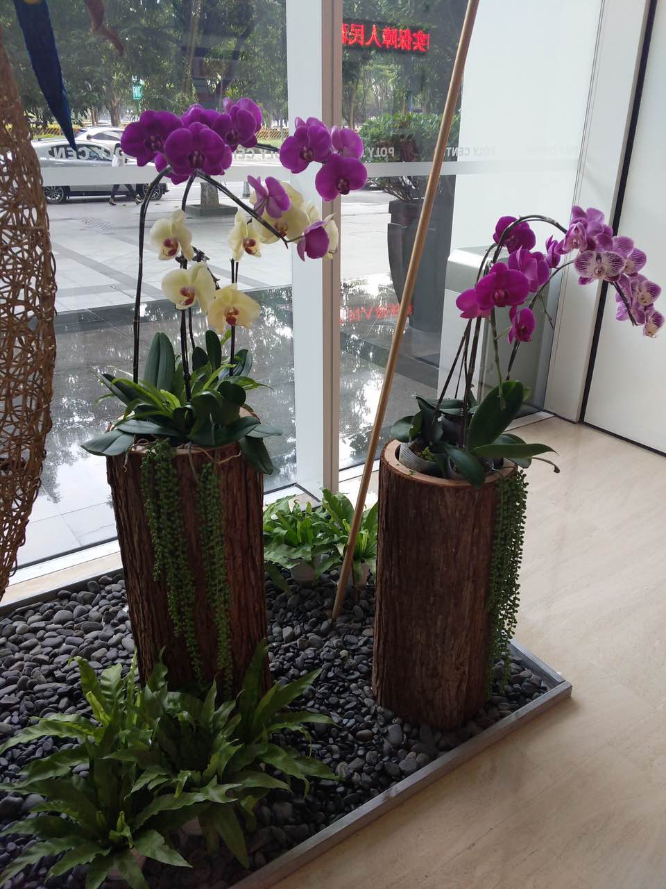 花卉擺放技巧,吸毒植物種類,如何種植花草,長(zhǎng)沙高端盆花租賃,長(zhǎng)沙花卉租賃,長(zhǎng)沙組合組景租賃,長(zhǎng)沙室內(nèi)外花卉租賃公司