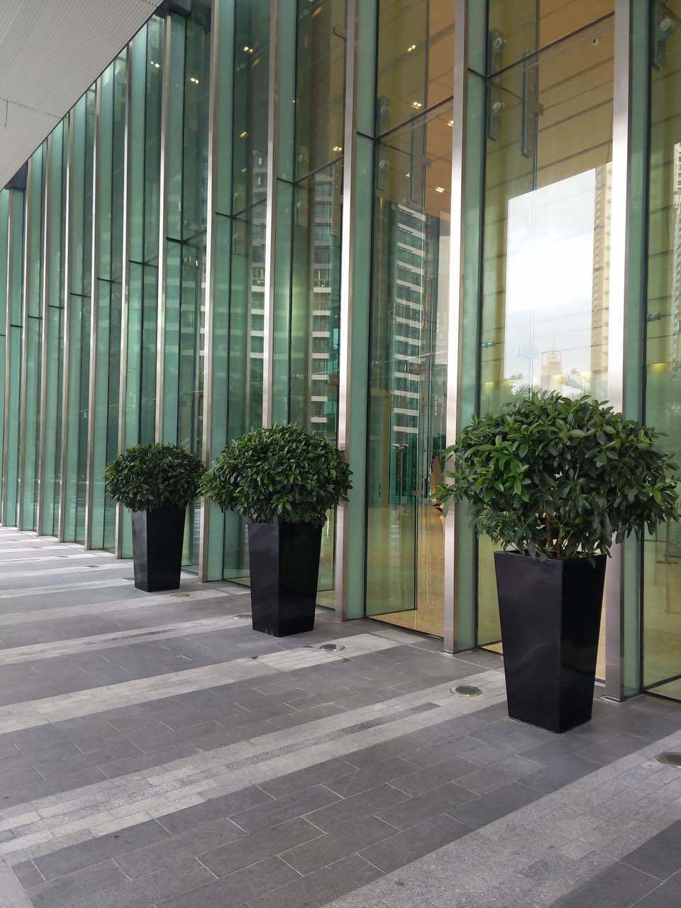 花卉擺放技巧,吸毒植物種類,如何種植花草,長(zhǎng)沙高端盆花租賃,長(zhǎng)沙花卉租賃,長(zhǎng)沙組合組景租賃,長(zhǎng)沙室內(nèi)外花卉租賃公司