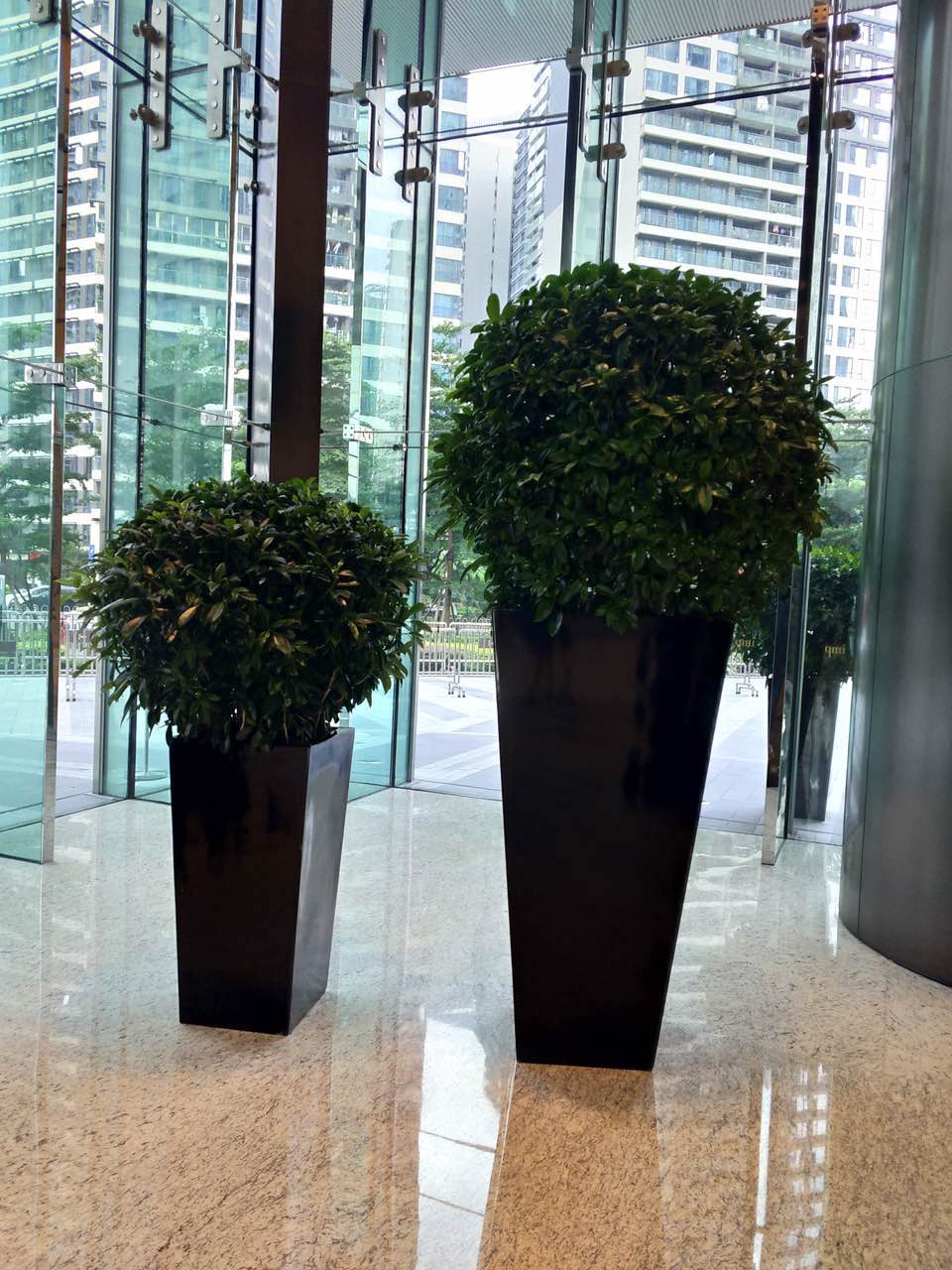 花卉擺放技巧,吸毒植物種類,如何種植花草,長(zhǎng)沙高端盆花租賃,長(zhǎng)沙花卉租賃,長(zhǎng)沙組合組景租賃,長(zhǎng)沙室內(nèi)外花卉租賃公司