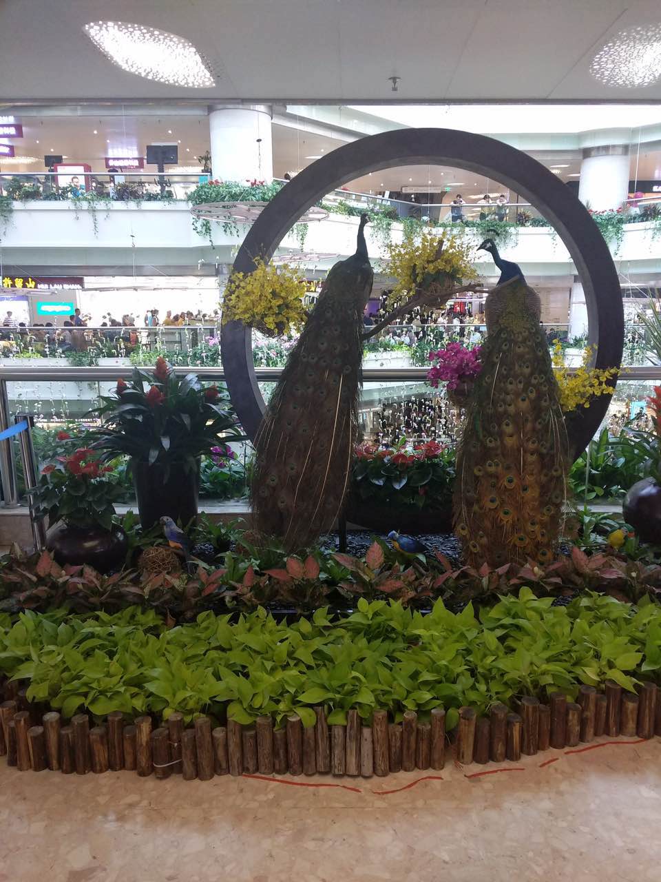 花卉擺放技巧,吸毒植物種類,如何種植花草,長(zhǎng)沙高端盆花租賃,長(zhǎng)沙花卉租賃,長(zhǎng)沙組合組景租賃,長(zhǎng)沙室內(nèi)外花卉租賃公司