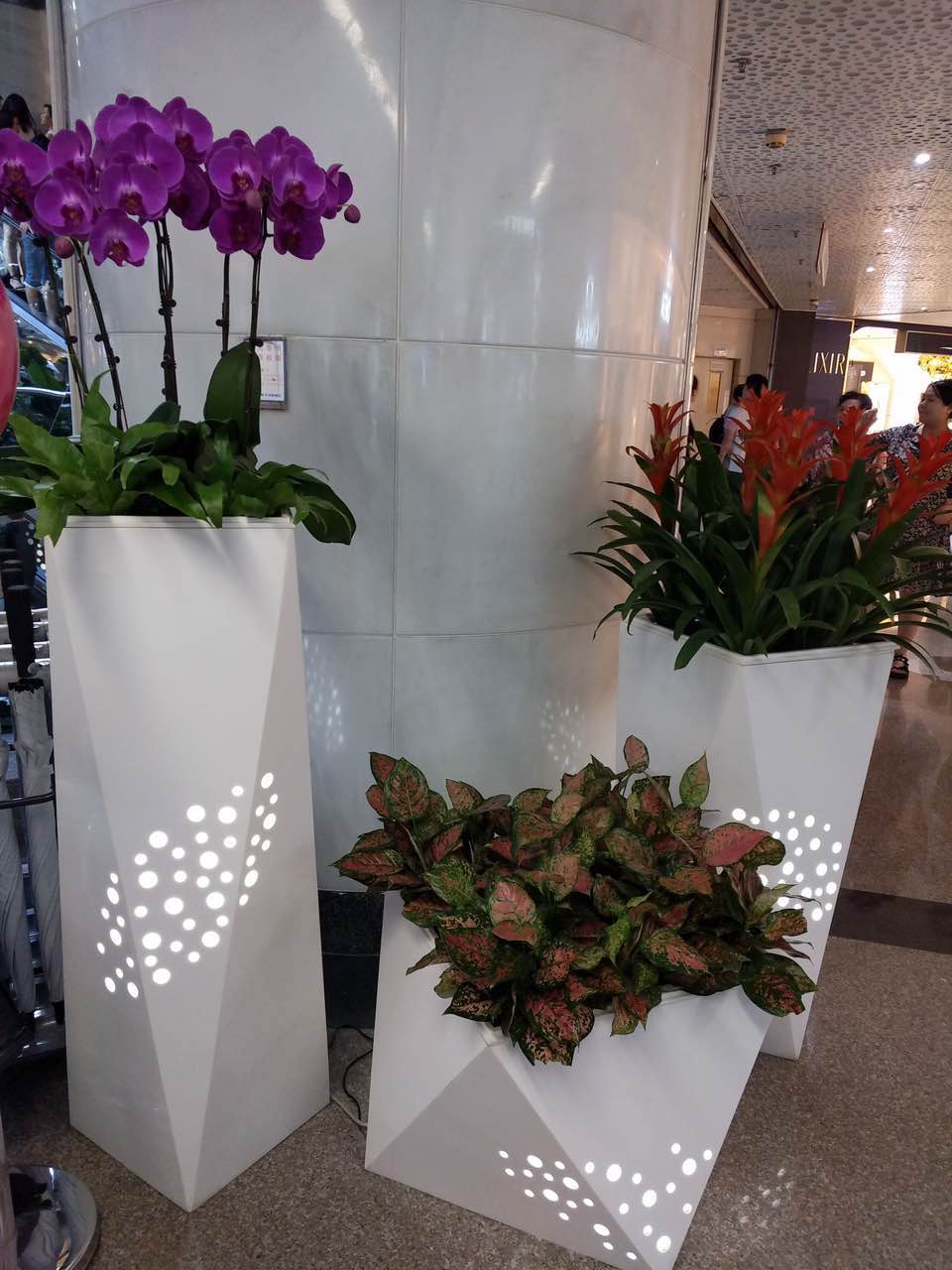 花卉擺放技巧,吸毒植物種類,如何種植花草,長(zhǎng)沙高端盆花租賃,長(zhǎng)沙花卉租賃,長(zhǎng)沙組合組景租賃,長(zhǎng)沙室內(nèi)外花卉租賃公司