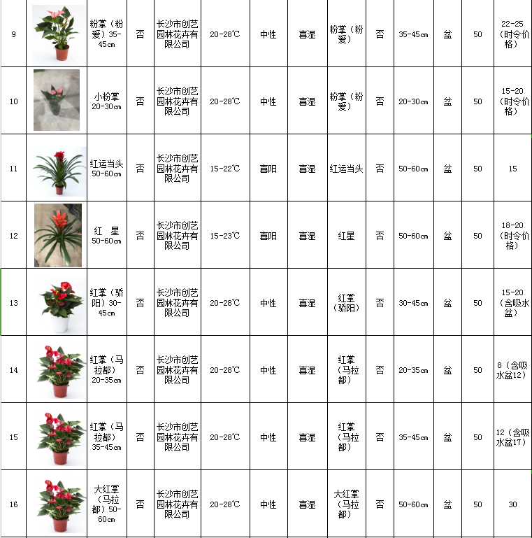 花卉擺放技巧,吸毒植物種類,如何種植花草,長沙高端盆花租賃,長沙花卉租賃,長沙組合組景租賃,長沙室內(nèi)外花卉租賃公司 花卉擺放技巧,吸毒植物種類,如何種植花草,長沙高端盆花租賃,長沙花卉租賃,長沙組合組景租賃,長沙室內(nèi)外花卉租賃公司