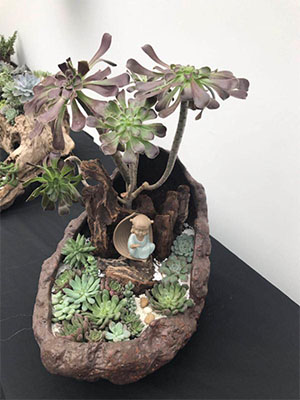 花卉租賃案例,花卉盆景圖片,長沙室內(nèi)外花卉租賃,長沙高端盆花租賃,長沙花卉租賃,長沙組合組景租賃