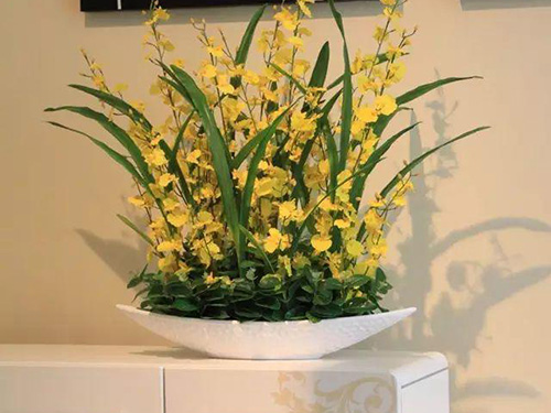 花卉擺放技巧,吸毒植物種類,如何種植花草,長(zhǎng)沙高端盆花租賃,長(zhǎng)沙花卉租賃,長(zhǎng)沙組合組景租賃,長(zhǎng)沙室內(nèi)外花卉租賃公司 花卉擺放技巧,吸毒植物種類,如何種植花草,長(zhǎng)沙高端盆花租賃,長(zhǎng)沙花卉租賃,長(zhǎng)沙組合組景租賃,長(zhǎng)沙室內(nèi)外花卉租賃公司