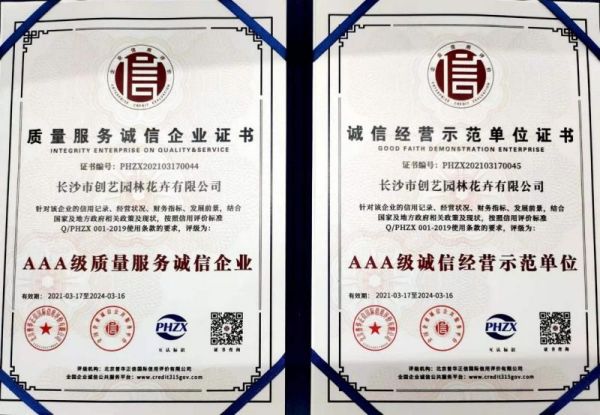 個性花卉產(chǎn)品租賃_個性花卉產(chǎn)品批發(fā)零售_高端組景組盆花卉專業(yè)租貨_長沙市創(chuàng)藝園林花卉有限公司 個性花卉產(chǎn)品租賃_個性花卉產(chǎn)品批發(fā)零售_高端組景組盆花卉專業(yè)租貨_長沙市創(chuàng)藝園林花卉有限公司