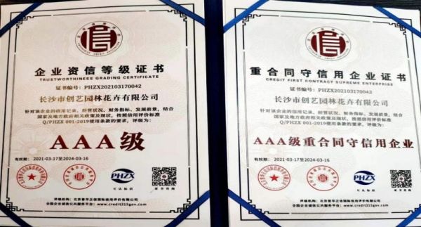 個性花卉產(chǎn)品租賃_個性花卉產(chǎn)品批發(fā)零售_高端組景組盆花卉專業(yè)租貨_長沙市創(chuàng)藝園林花卉有限公司 個性花卉產(chǎn)品租賃_個性花卉產(chǎn)品批發(fā)零售_高端組景組盆花卉專業(yè)租貨_長沙市創(chuàng)藝園林花卉有限公司