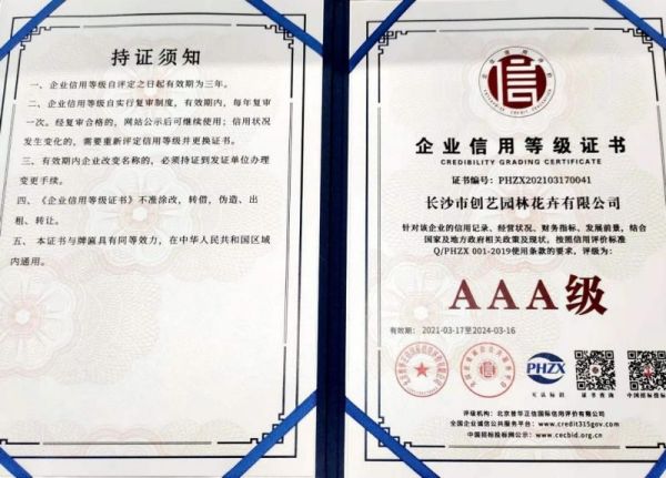 個性花卉產(chǎn)品租賃_個性花卉產(chǎn)品批發(fā)零售_高端組景組盆花卉專業(yè)租貨_長沙市創(chuàng)藝園林花卉有限公司 個性花卉產(chǎn)品租賃_個性花卉產(chǎn)品批發(fā)零售_高端組景組盆花卉專業(yè)租貨_長沙市創(chuàng)藝園林花卉有限公司