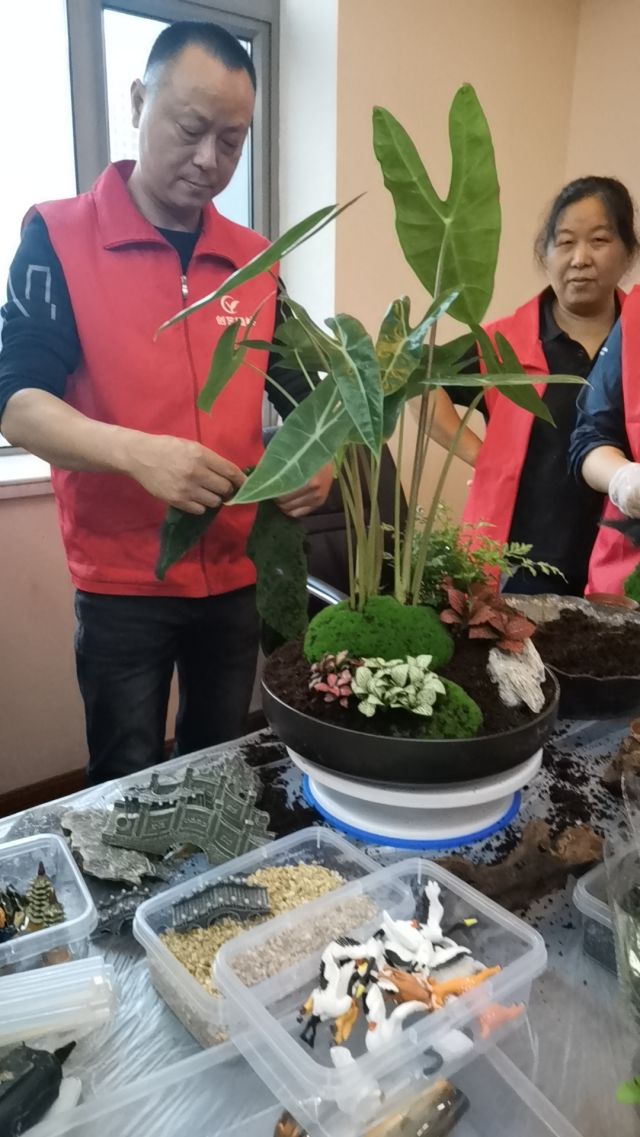 個(gè)性花卉產(chǎn)品租賃_個(gè)性花卉產(chǎn)品批發(fā)零售_高端組景組盆花卉專業(yè)租貨_長(zhǎng)沙市創(chuàng)藝園林花卉有限公司