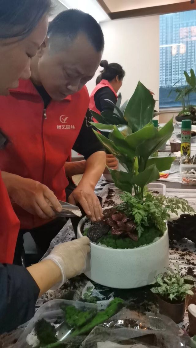 個(gè)性花卉產(chǎn)品租賃_個(gè)性花卉產(chǎn)品批發(fā)零售_高端組景組盆花卉專業(yè)租貨_長(zhǎng)沙市創(chuàng)藝園林花卉有限公司