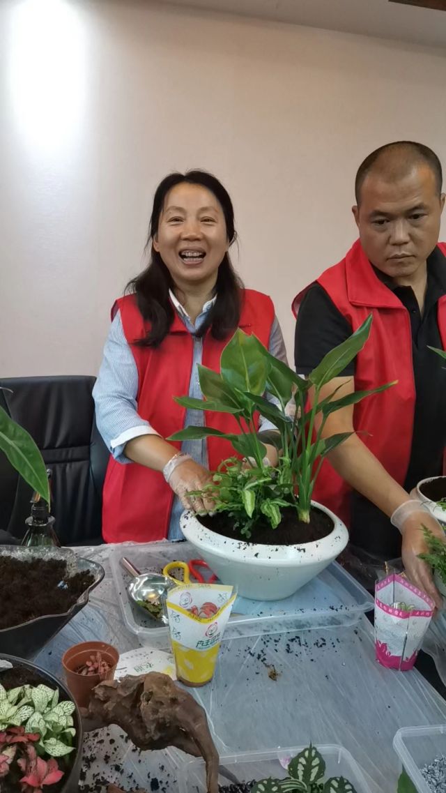 個(gè)性花卉產(chǎn)品租賃_個(gè)性花卉產(chǎn)品批發(fā)零售_高端組景組盆花卉專業(yè)租貨_長(zhǎng)沙市創(chuàng)藝園林花卉有限公司