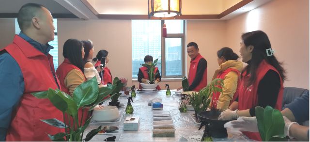 個(gè)性花卉產(chǎn)品租賃_個(gè)性花卉產(chǎn)品批發(fā)零售_高端組景組盆花卉專業(yè)租貨_長(zhǎng)沙市創(chuàng)藝園林花卉有限公司