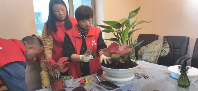 個(gè)性花卉產(chǎn)品租賃_個(gè)性花卉產(chǎn)品批發(fā)零售_高端組景組盆花卉專業(yè)租貨_長(zhǎng)沙市創(chuàng)藝園林花卉有限公司