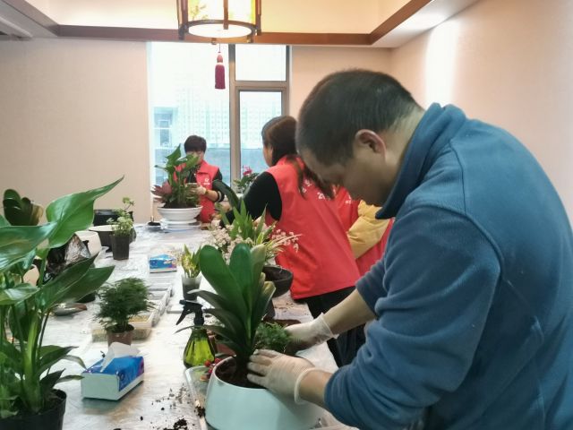 個(gè)性花卉產(chǎn)品租賃_個(gè)性花卉產(chǎn)品批發(fā)零售_高端組景組盆花卉專業(yè)租貨_長(zhǎng)沙市創(chuàng)藝園林花卉有限公司