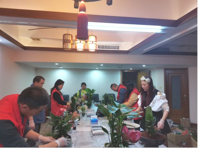 個(gè)性花卉產(chǎn)品租賃_個(gè)性花卉產(chǎn)品批發(fā)零售_高端組景組盆花卉專業(yè)租貨_長(zhǎng)沙市創(chuàng)藝園林花卉有限公司