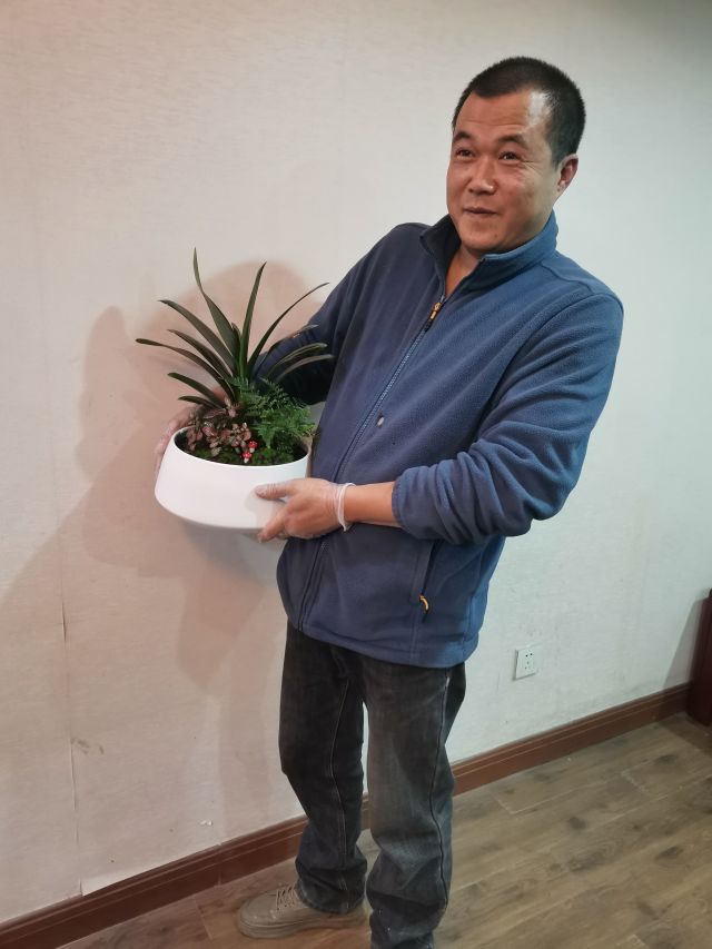 個(gè)性花卉產(chǎn)品租賃_個(gè)性花卉產(chǎn)品批發(fā)零售_高端組景組盆花卉專業(yè)租貨_長(zhǎng)沙市創(chuàng)藝園林花卉有限公司