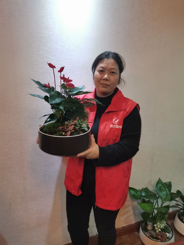 個(gè)性花卉產(chǎn)品租賃_個(gè)性花卉產(chǎn)品批發(fā)零售_高端組景組盆花卉專業(yè)租貨_長(zhǎng)沙市創(chuàng)藝園林花卉有限公司