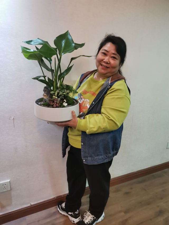 個(gè)性花卉產(chǎn)品租賃_個(gè)性花卉產(chǎn)品批發(fā)零售_高端組景組盆花卉專業(yè)租貨_長(zhǎng)沙市創(chuàng)藝園林花卉有限公司