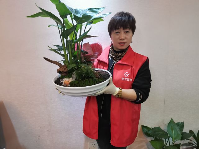 個(gè)性花卉產(chǎn)品租賃_個(gè)性花卉產(chǎn)品批發(fā)零售_高端組景組盆花卉專業(yè)租貨_長(zhǎng)沙市創(chuàng)藝園林花卉有限公司