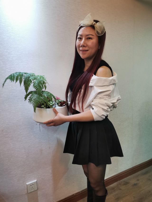 個(gè)性花卉產(chǎn)品租賃_個(gè)性花卉產(chǎn)品批發(fā)零售_高端組景組盆花卉專業(yè)租貨_長(zhǎng)沙市創(chuàng)藝園林花卉有限公司